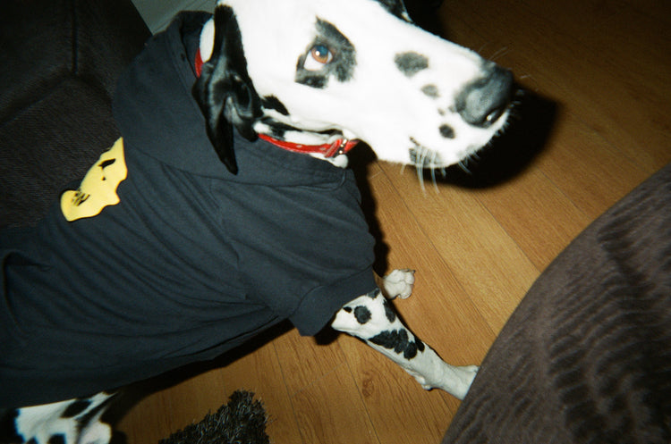 dawg mascot hoodie - black
