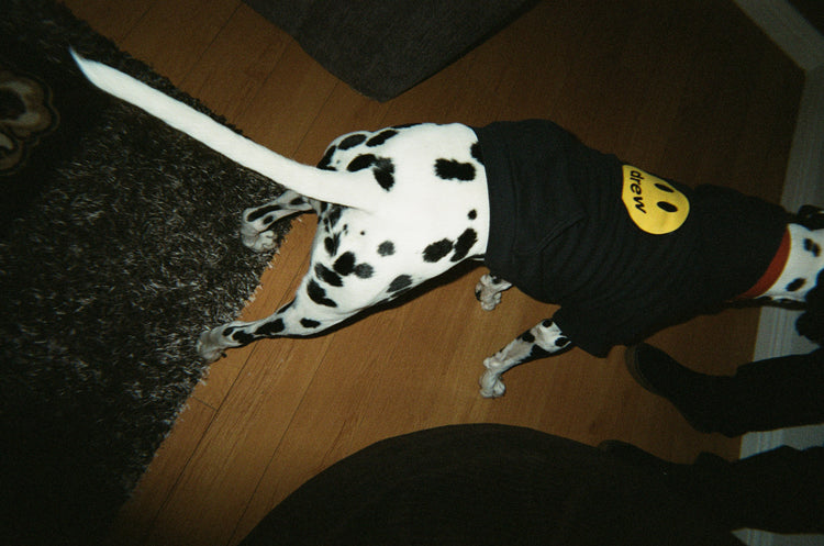 dawg mascot hoodie - black