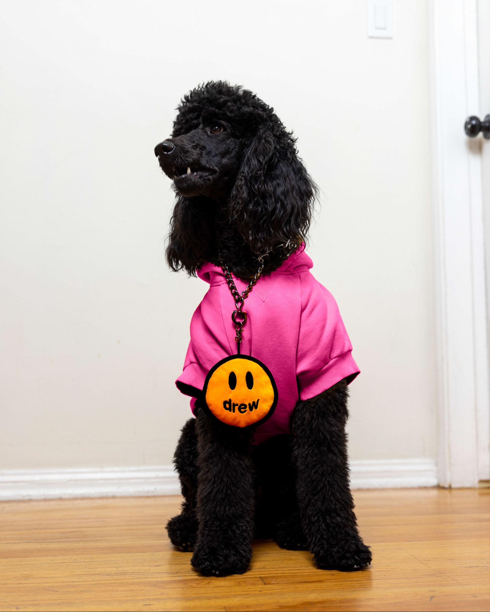 dawg mascot hoodie - magenta – drew house